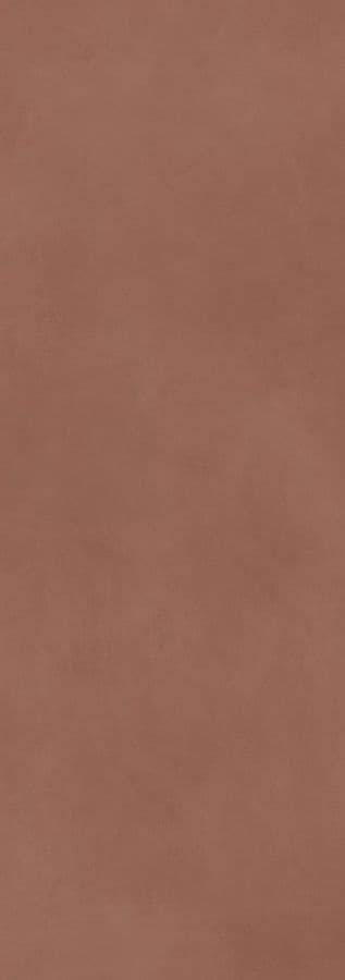 Calce Terracotta 100х300 5