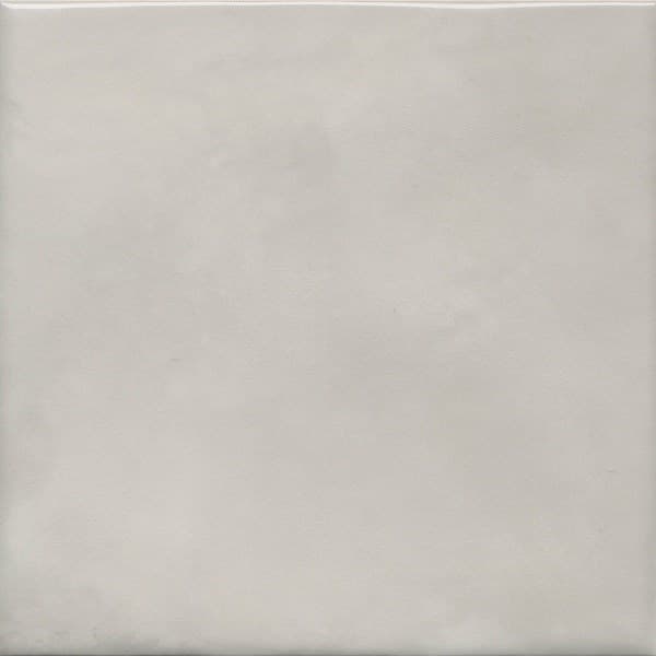 Адриатика серый глянцевый 20x20x0,69